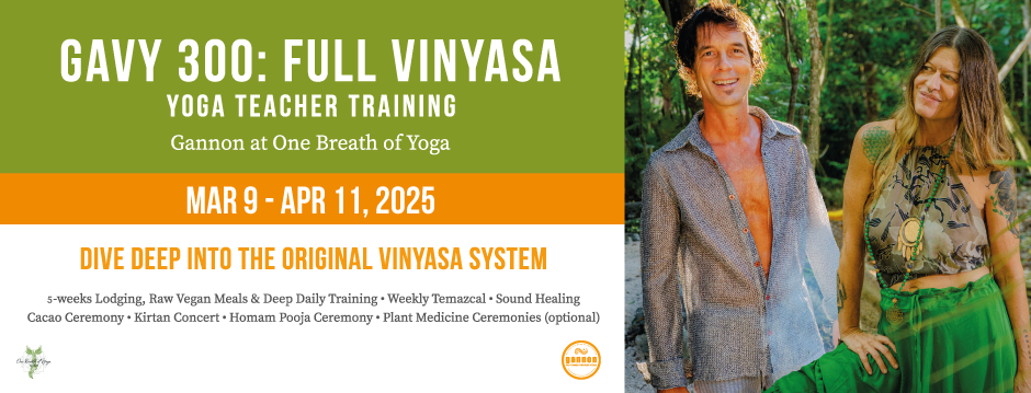 GAVY 300: Full Vinyasa Teacher Training at One Breath of Yoga. Puerto Morelos, México.